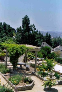 Award-winning Mediterranean Garden