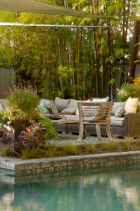 Ac omfortable lounging area is surrounded by drought tolerant plants