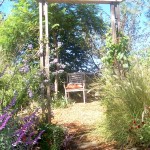 relaxing chair under tree amongst grasses and perennials