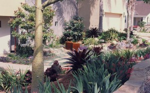Front garden showing plant-driven design