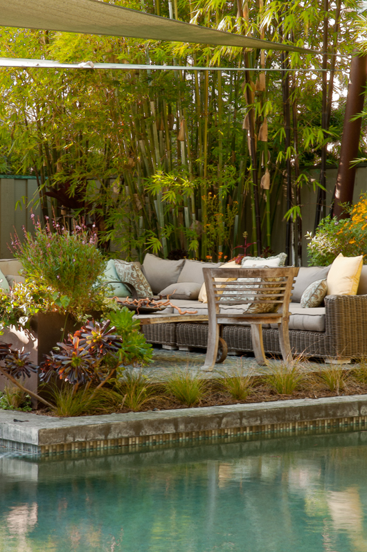 Successful Backyard Landscape Collaboration in La Jolla Sitting area by the pool 