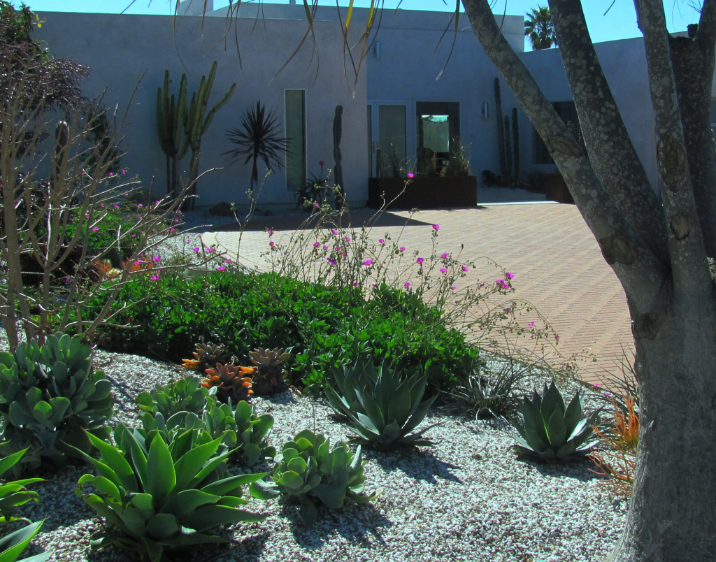 The xeriscape design of the front yard