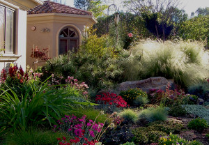 Lots of grasses, a large boulder and colorful perennials give this scene a naturalistic look.