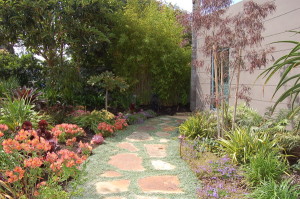 flagstone with inter-planting