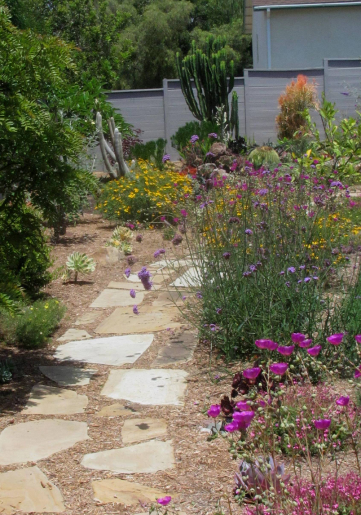 Drought resistant landscaping can be exciting and rewarding year-round.