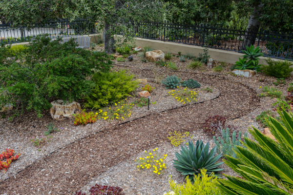Landscape Design With Water Conservation