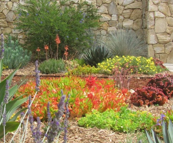 Landscape Design With Water Conservation