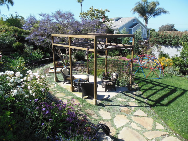 A minimal structure for vines will soon create much-needed shade, while all around plants absorb some of the light. The purple-flowered tree is a Jacaranda; the white shrub on the left is Iceberg Rose.