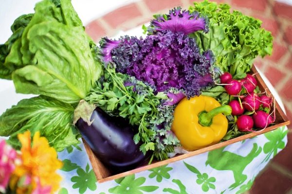 Gardening Offers Abundant Health Benefits