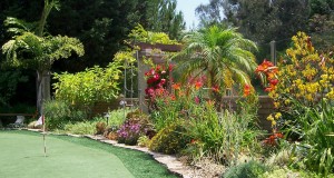 A putting green is the attraction in this back garden design