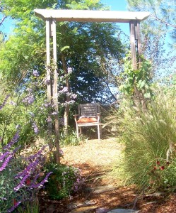 a profusion of perennials, grasses and trees embellishing garden structures
