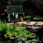 bench behind pond water feature in escondido small backyard landscape design