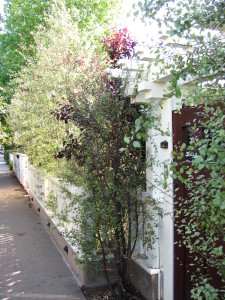 Combination of wall and shrubs enclosing front yard