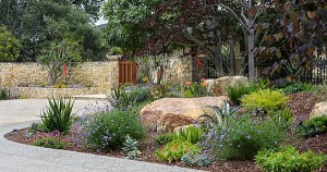 BALANCING PLANTS AND HARDSCAPES IN YOUR LANDSCAPE DESIGN