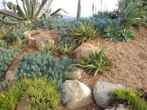 Protect Your Landscape Mulched slope