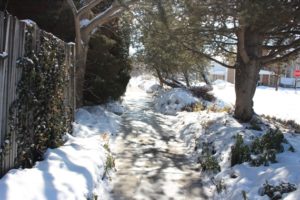 Winter landscaping with Billie Gray A lifelong love affair of gardening in the Rockies
