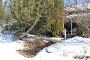 Winter landscaping with Billie Gray A lifelong love affair of gardening in the Rockies